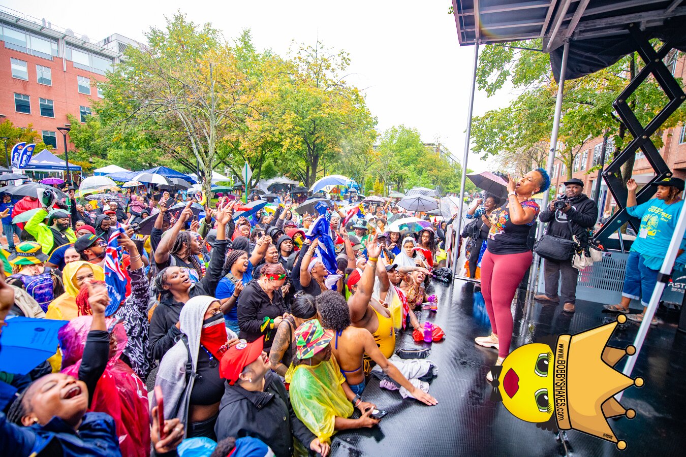 Alison Hinds performing live at Cambridge Carnival International, Central Square in Cambridge, MA, photographed by Bobby Shakes