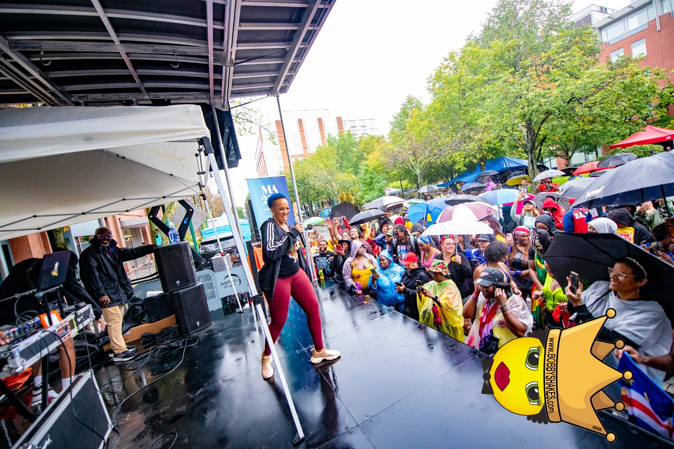 Alison Hinds performing live at Cambridge Carnival International, Central Square in Cambridge, MA, photographed by Bobby Shakes