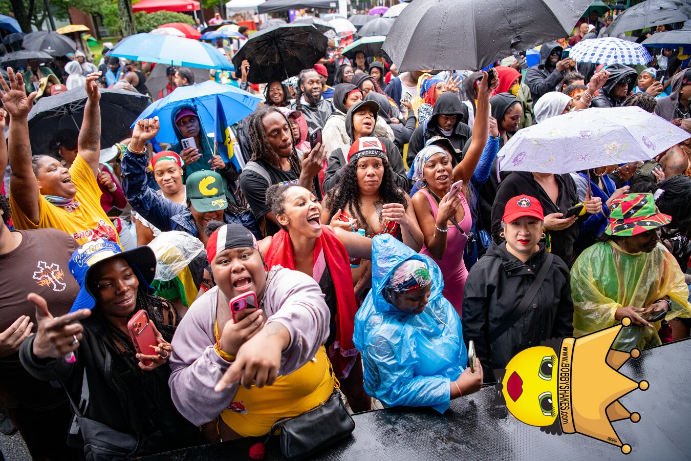 Alison Hinds performing live at Cambridge Carnival International, Central Square in Cambridge, MA, photographed by Bobby Shakes