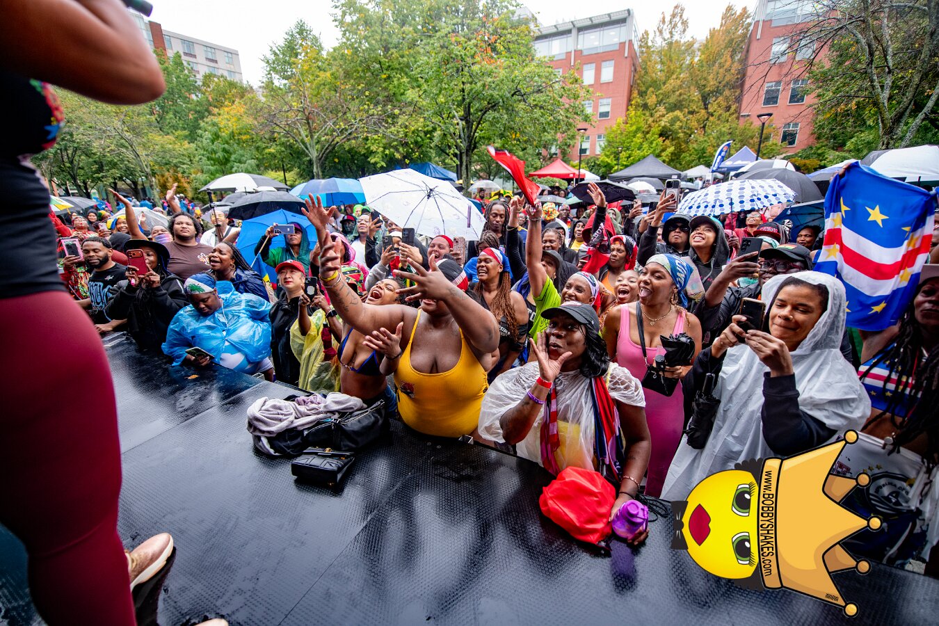 Alison Hinds performing live at Cambridge Carnival International, Central Square in Cambridge, MA, photographed by Bobby Shakes