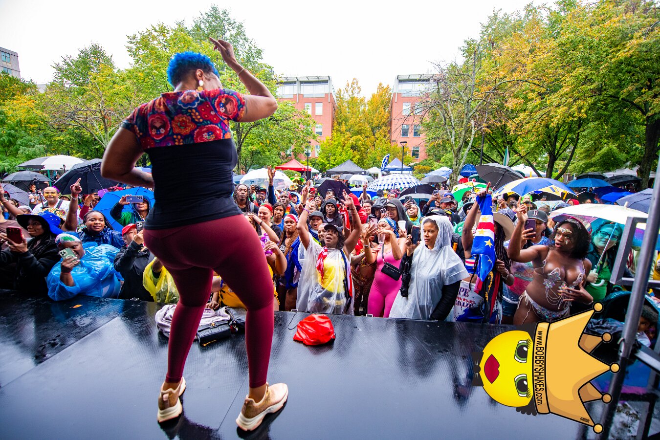 Alison Hinds performing live at Cambridge Carnival International, Central Square in Cambridge, MA, photographed by Bobby Shakes