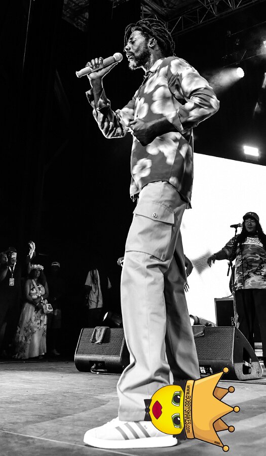 Buju Banton, Stephen Marley & Gramps Morgan performing live at Leader Bank Pavilion in Boston, MA, photographed by Bobby Shakes