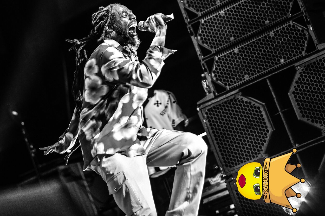 Buju Banton, Stephen Marley & Gramps Morgan performing live at Leader Bank Pavilion in Boston, MA, photographed by Bobby Shakes
