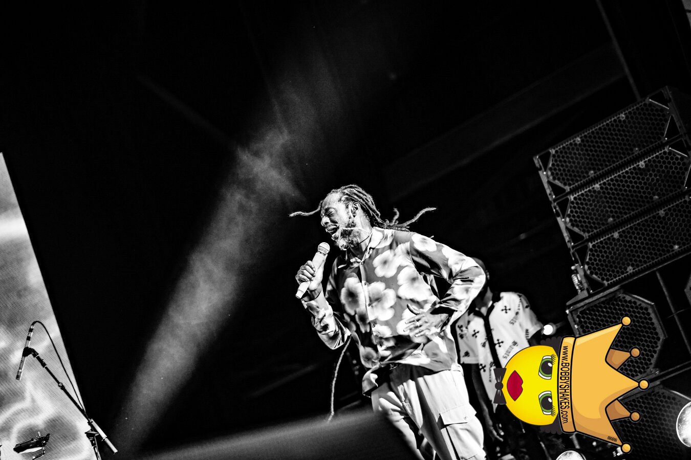 Buju Banton, Stephen Marley & Gramps Morgan performing live at Leader Bank Pavilion in Boston, MA, photographed by Bobby Shakes