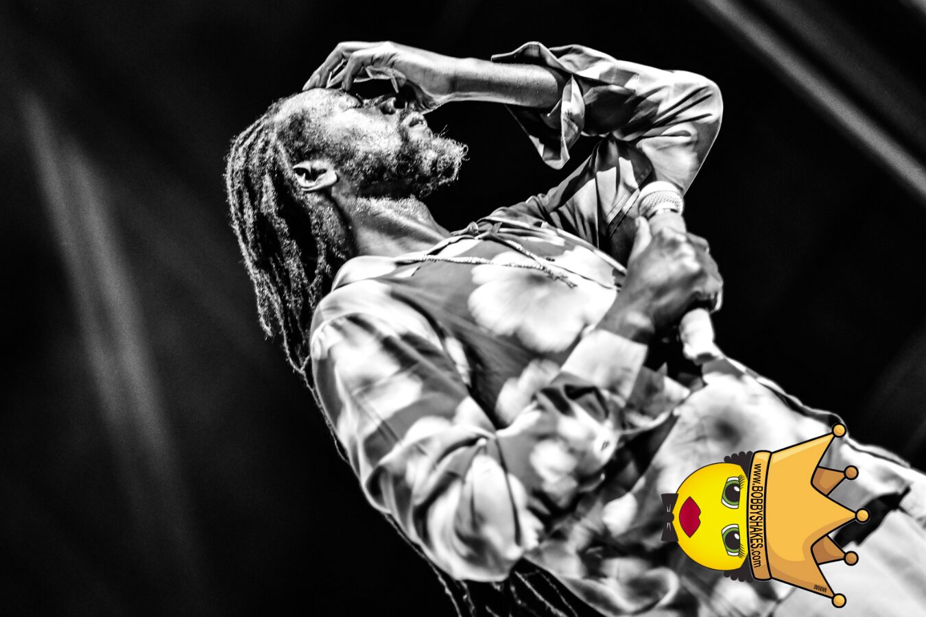Buju Banton, Stephen Marley & Gramps Morgan performing live at Leader Bank Pavilion in Boston, MA, photographed by Bobby Shakes