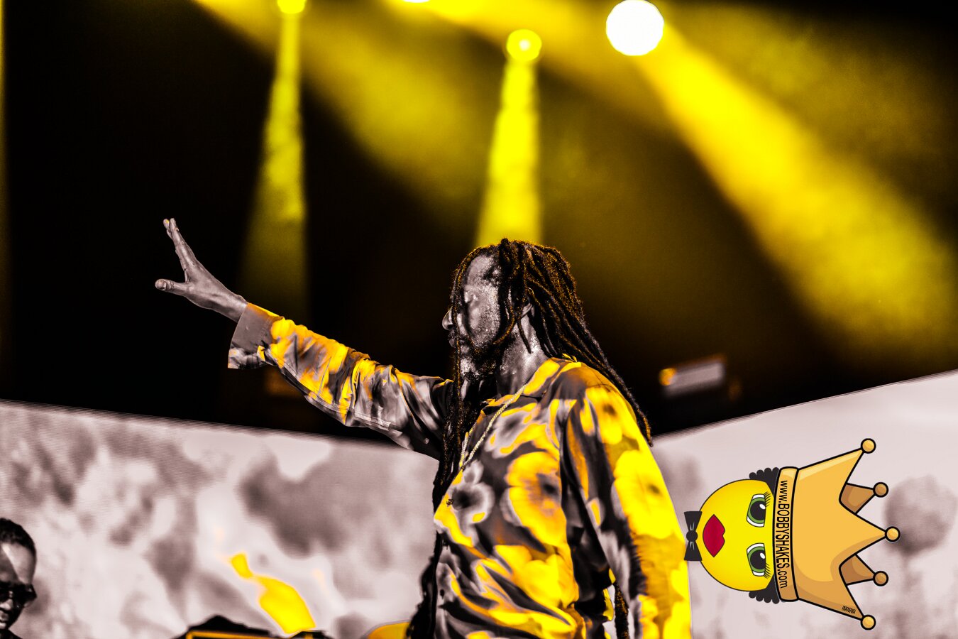 Buju Banton, Stephen Marley & Gramps Morgan performing live at Leader Bank Pavilion in Boston, MA, photographed by Bobby Shakes