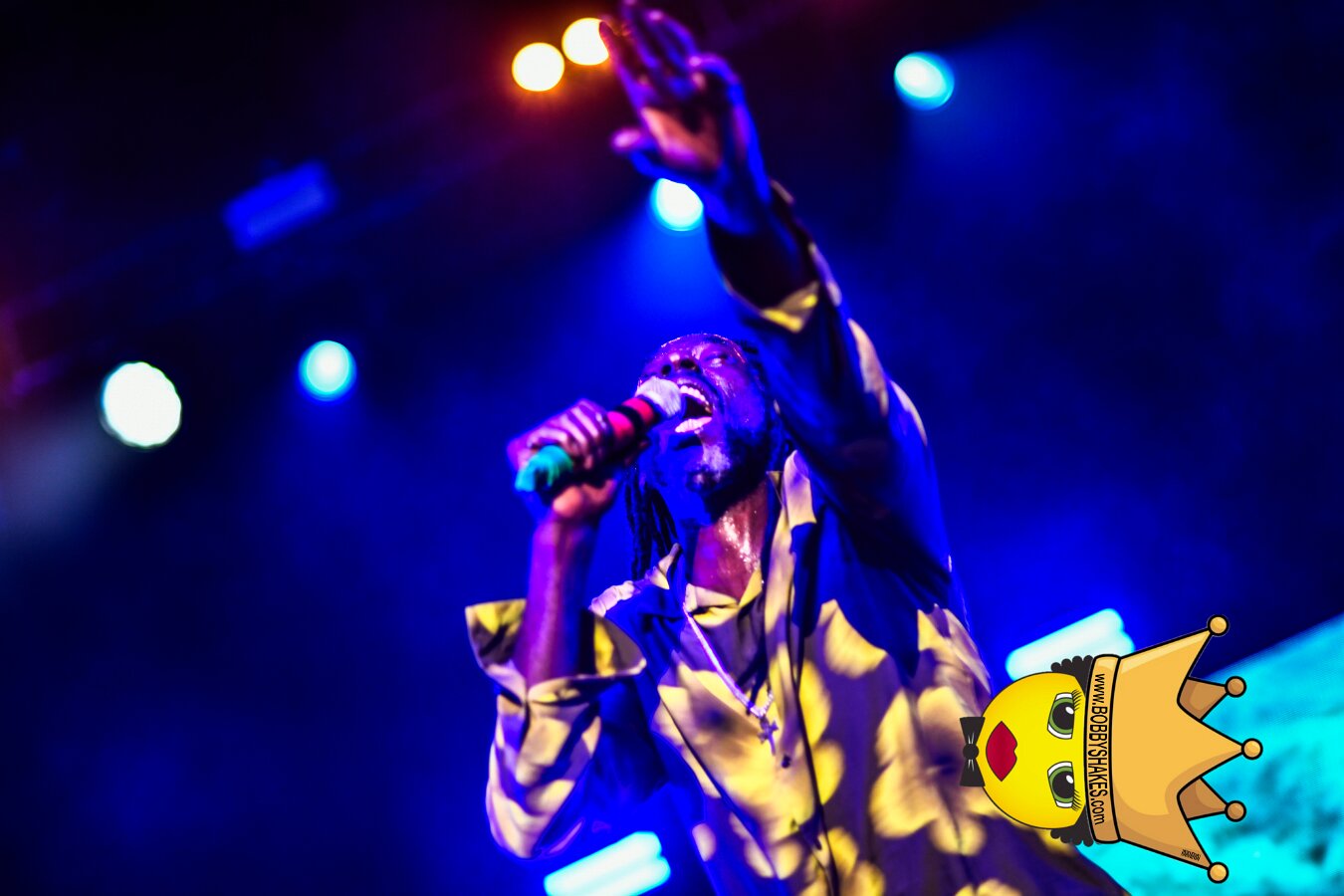 Buju Banton, Stephen Marley & Gramps Morgan performing live at Leader Bank Pavilion in Boston, MA, photographed by Bobby Shakes