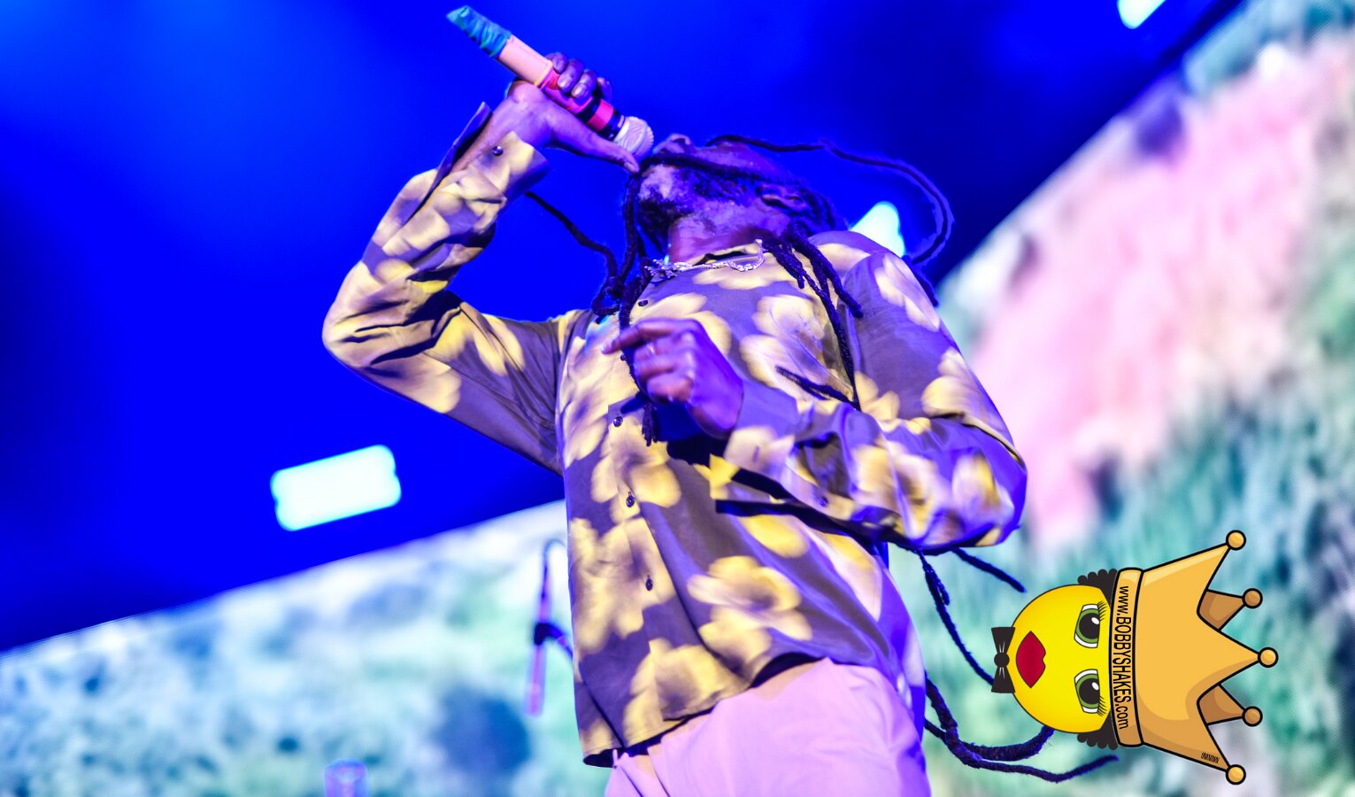Buju Banton, Stephen Marley & Gramps Morgan performing live at Leader Bank Pavilion in Boston, MA, photographed by Bobby Shakes