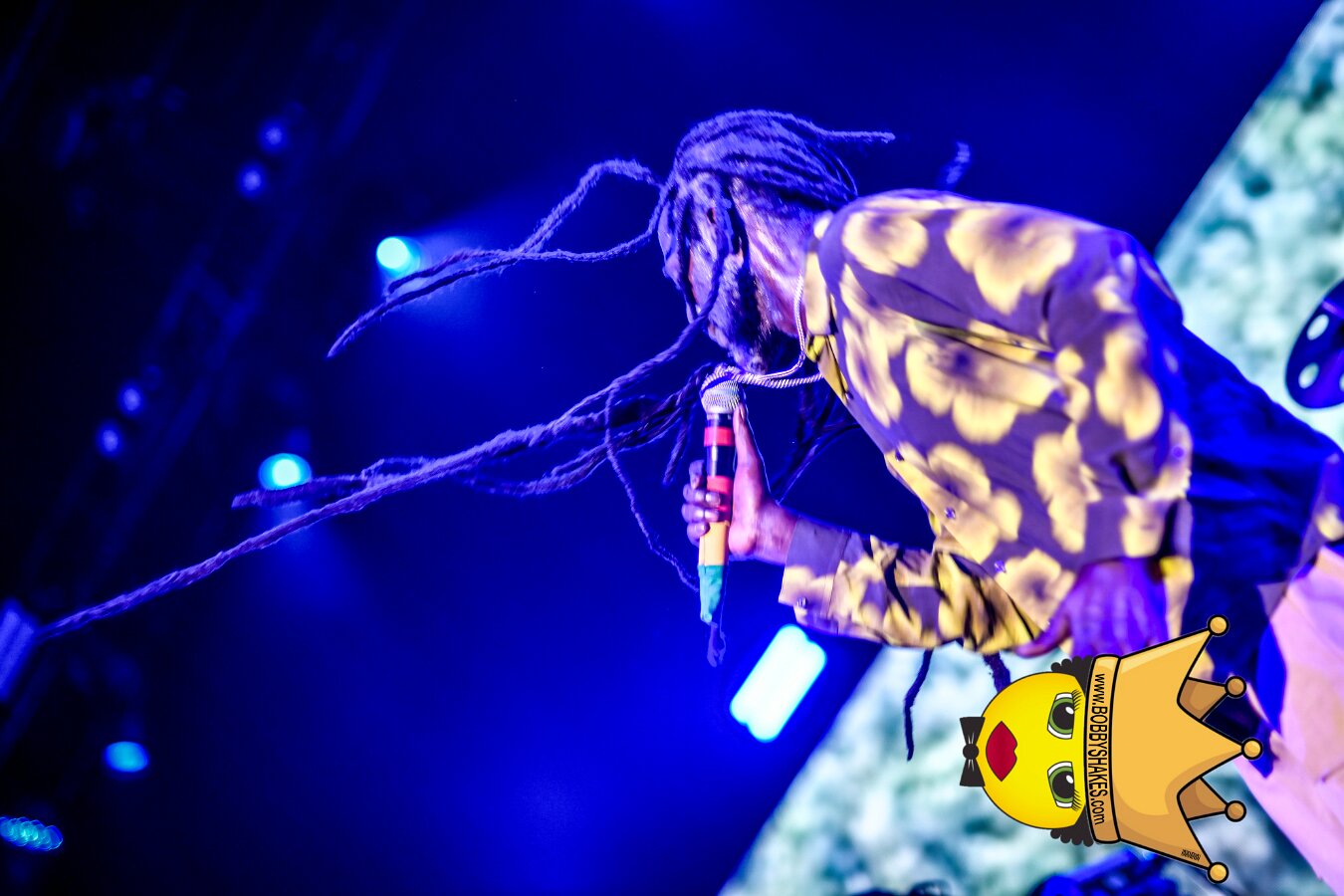 Buju Banton, Stephen Marley & Gramps Morgan performing live at Leader Bank Pavilion in Boston, MA, photographed by Bobby Shakes