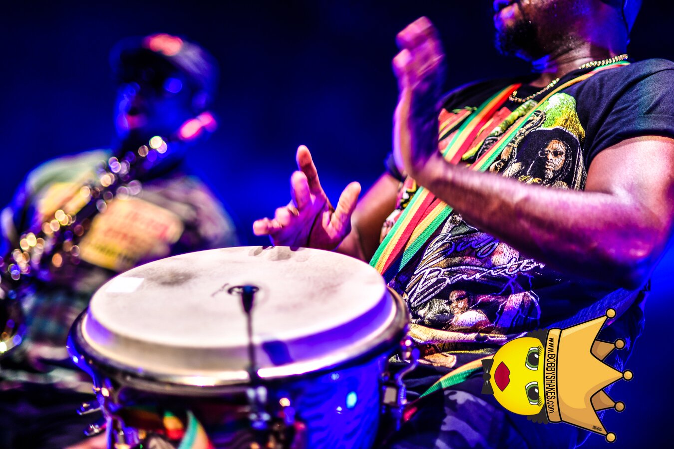 Buju Banton, Stephen Marley & Gramps Morgan performing live at Leader Bank Pavilion in Boston, MA, photographed by Bobby Shakes