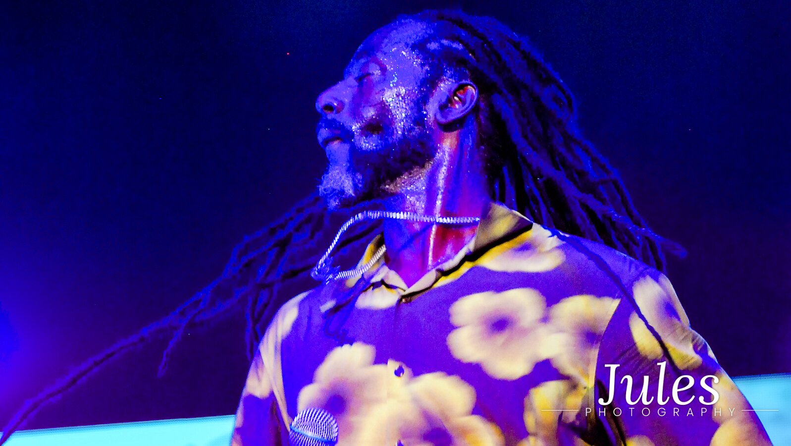 Buju Banton, Stephen Marley & Gramps Morgan performing live at Leader Bank Pavilion in Boston, MA, photographed by Bobby Shakes