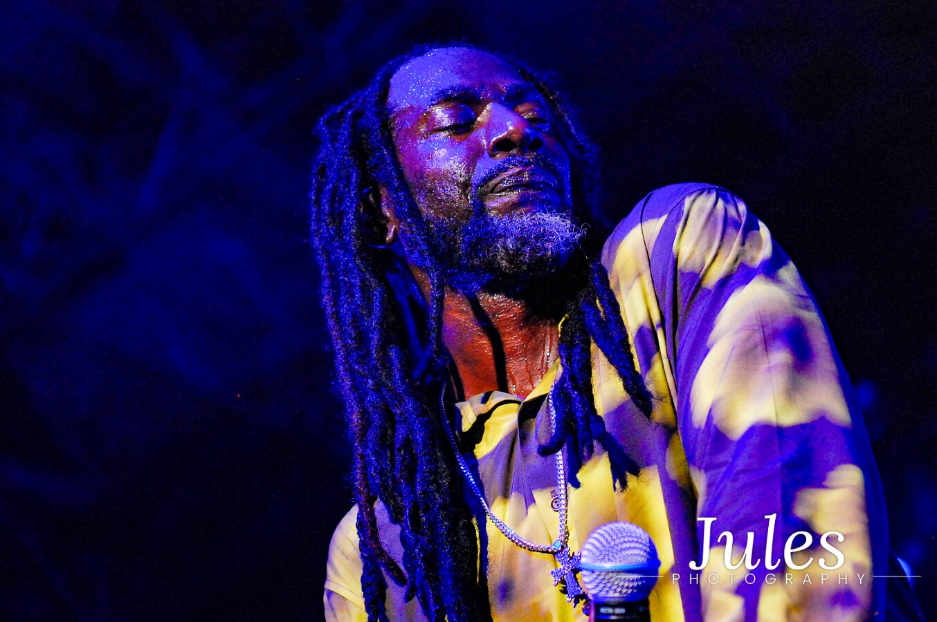 Buju Banton, Stephen Marley & Gramps Morgan performing live at Leader Bank Pavilion in Boston, MA, photographed by Bobby Shakes