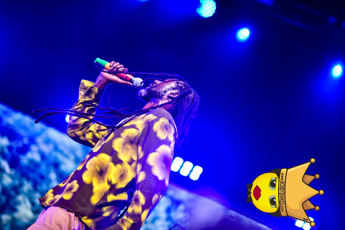Buju Banton, Stephen Marley & Gramps Morgan performing live at Leader Bank Pavilion in Boston, MA, photographed by Bobby Shakes