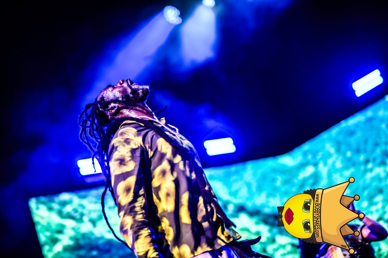 Buju Banton, Stephen Marley & Gramps Morgan performing live at Leader Bank Pavilion in Boston, MA, photographed by Bobby Shakes