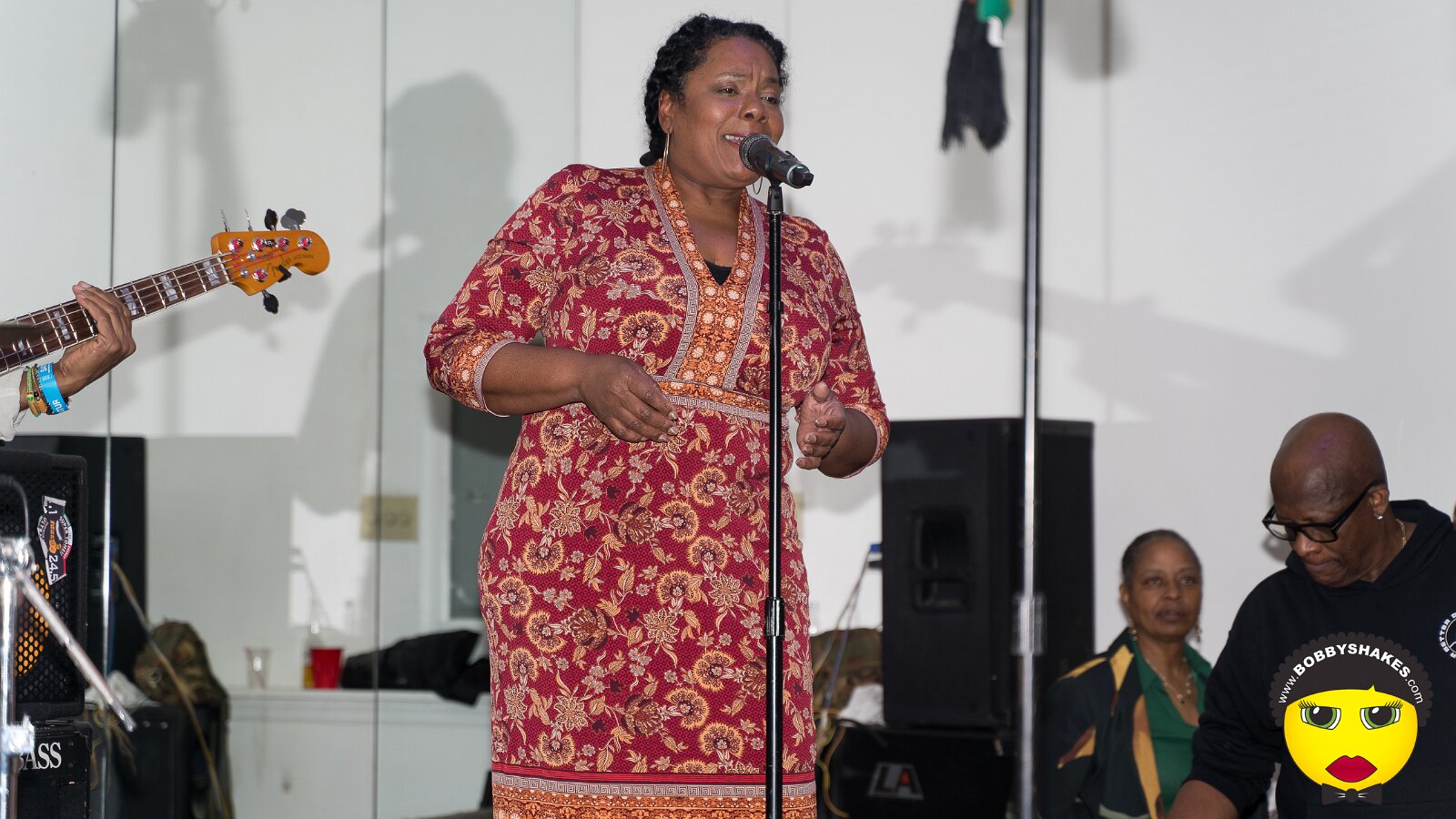 Bushman performing live at New York in New York, NY, photographed by Anil Batra, Picatra Music Journal