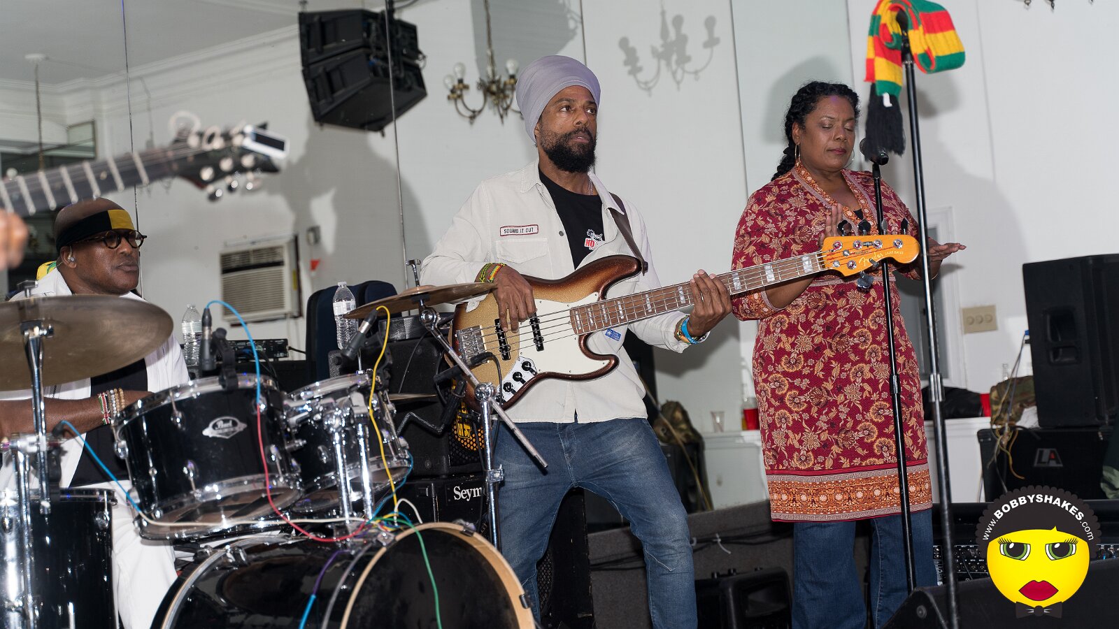 Bushman performing live at New York in New York, NY, photographed by Anil Batra, Picatra Music Journal