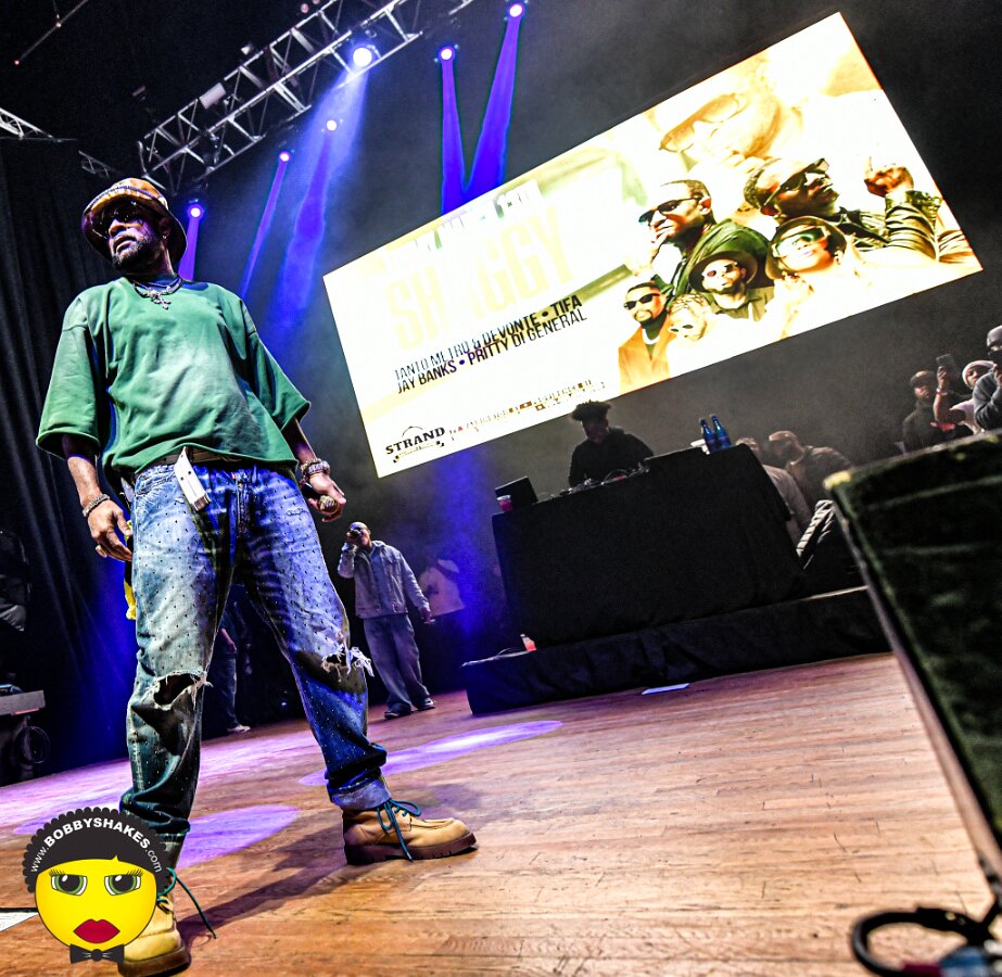 Shaggy, Tanto Metro & Devonte, Tifa, Teejay, Jay Banks, Pritty Di General performing live at The Strand Ballroom & Theatre in Providence, RI, photographed by Bobby Shakes