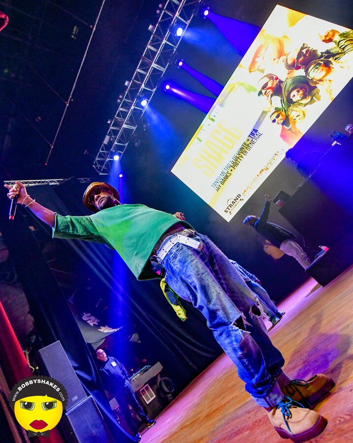 Shaggy, Tanto Metro & Devonte, Tifa, Teejay, Jay Banks, Pritty Di General performing live at The Strand Ballroom & Theatre in Providence, RI, photographed by Bobby Shakes