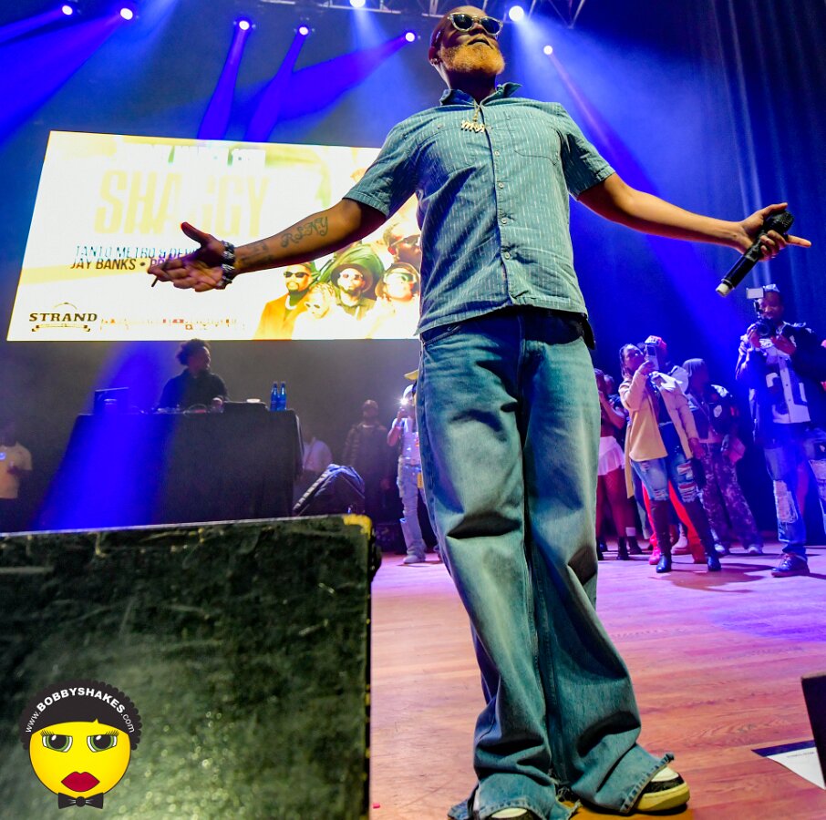 Shaggy, Tanto Metro & Devonte, Tifa, Teejay, Jay Banks, Pritty Di General performing live at The Strand Ballroom & Theatre in Providence, RI, photographed by Bobby Shakes