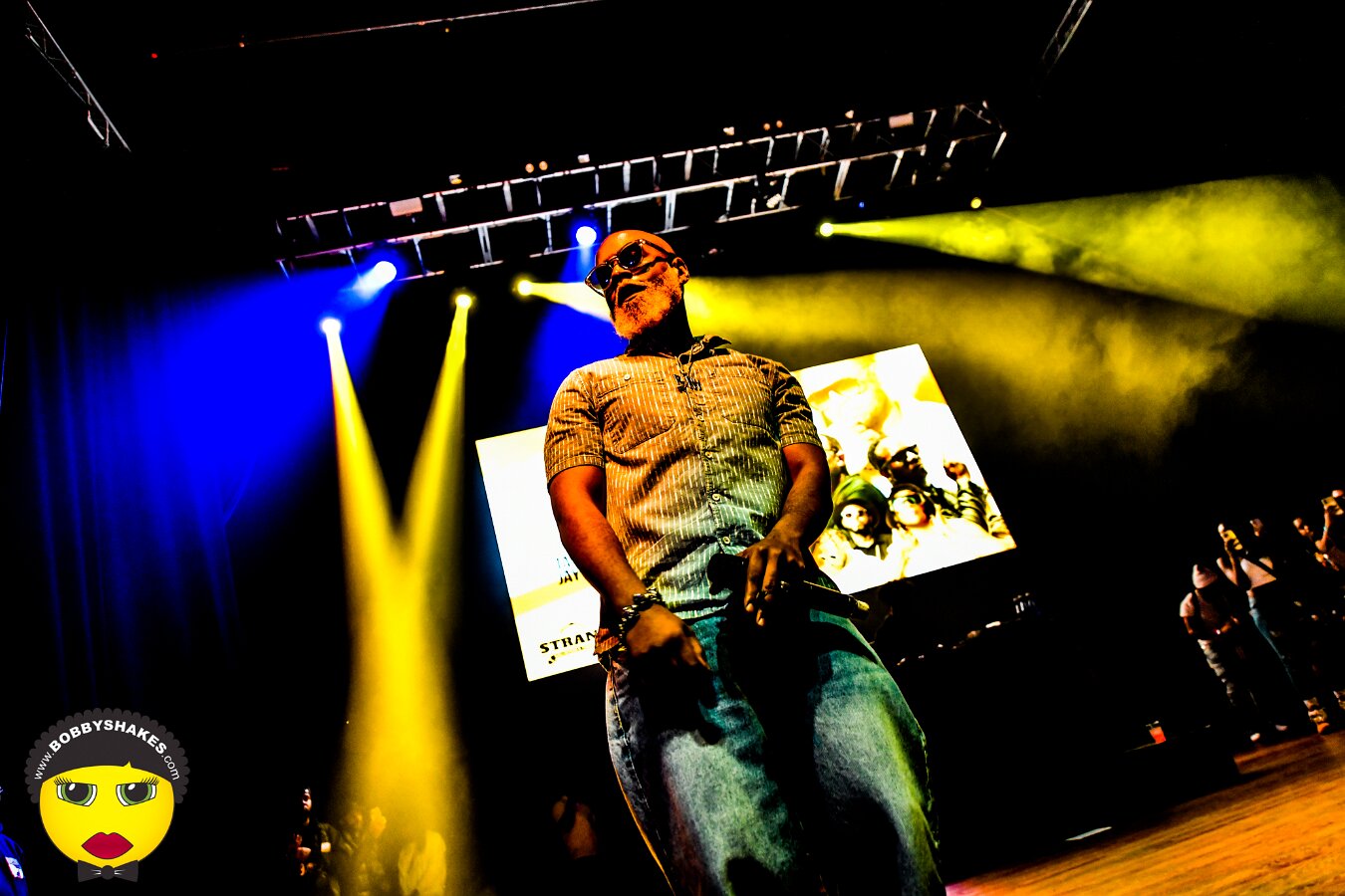 Shaggy, Tanto Metro & Devonte, Tifa, Teejay, Jay Banks, Pritty Di General performing live at The Strand Ballroom & Theatre in Providence, RI, photographed by Bobby Shakes