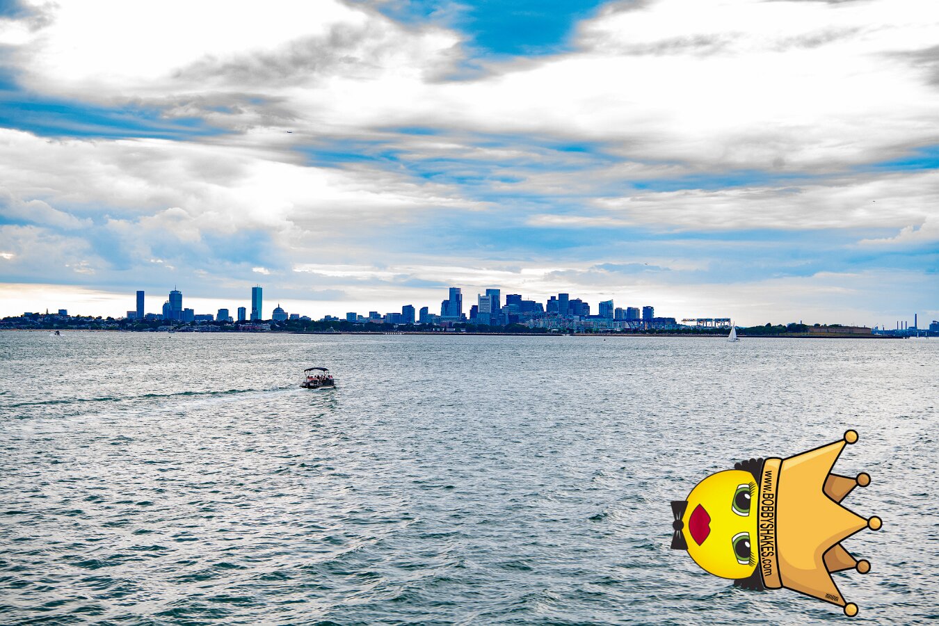 DJ Mastamind performing live at Spectacle Island in Boston Harbor, MA, photographed by Bobby Shakes