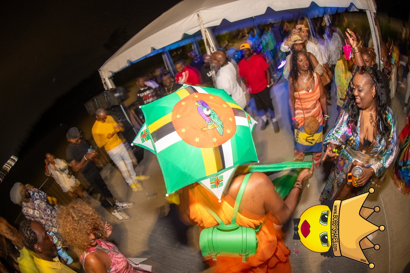 DJ Mastamind performing live at Spectacle Island in Boston Harbor, MA, photographed by Bobby Shakes